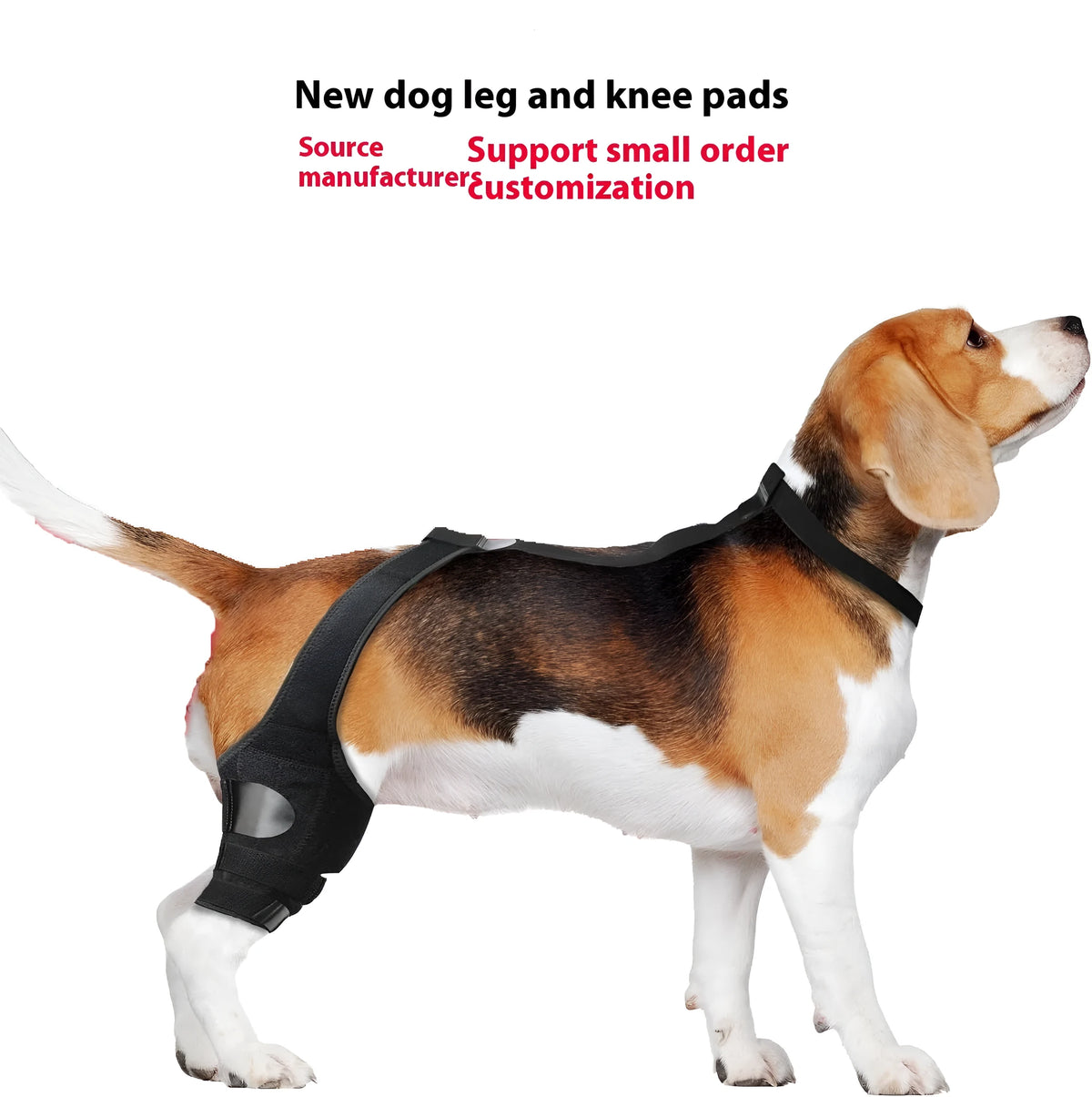 Neoprene dog hind leg knee brace assist strap in collar black colour with adjustable closure.