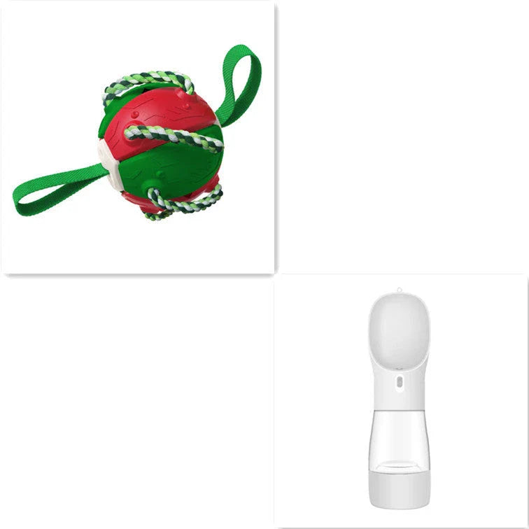 Transforming dog toy that can switch between a ball and frisbee shape, featuring durable construction and interactive play features