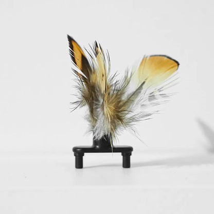 Electric bee-shaped cat car toy with feather teaser moving on floor