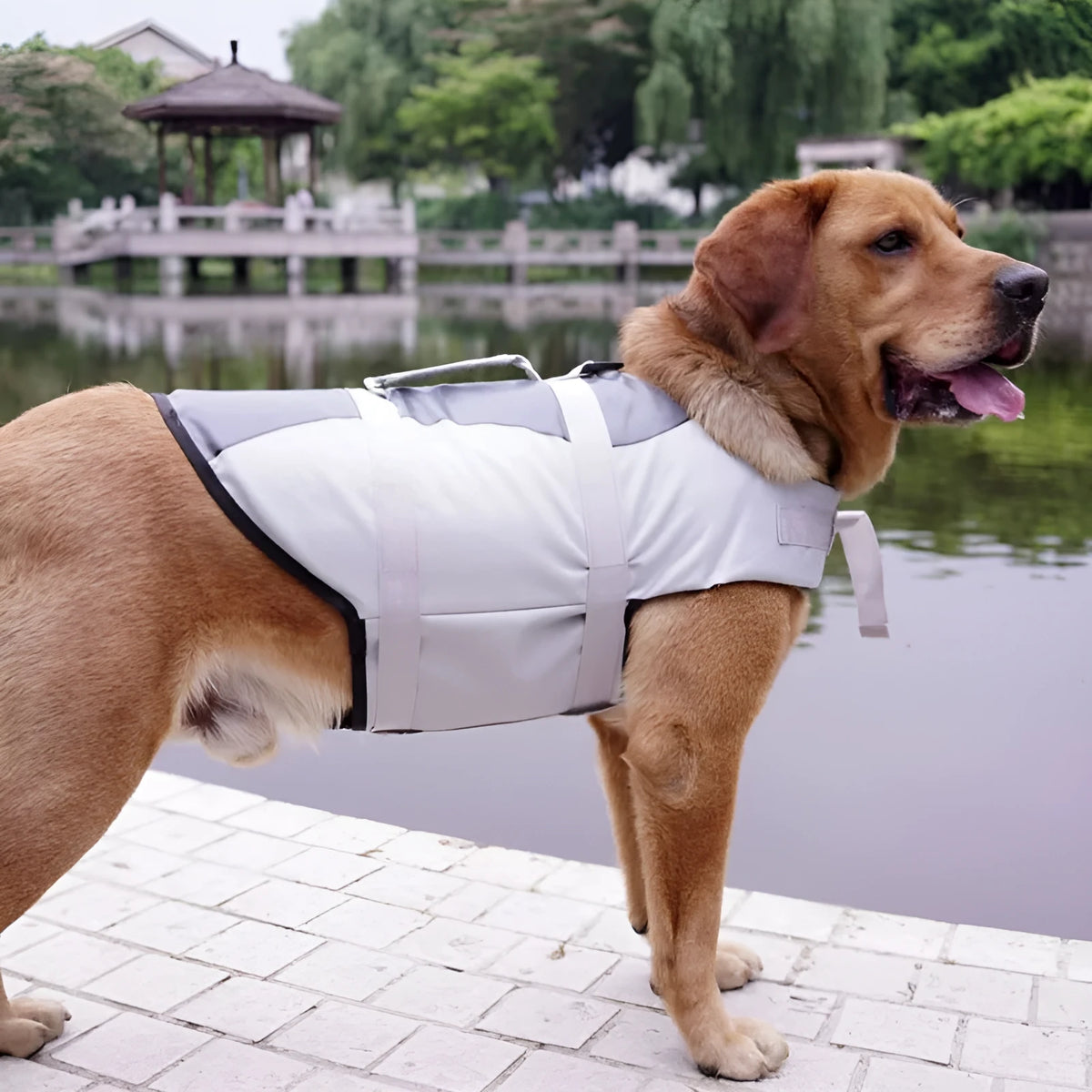 Polyester pet life jacket dog vest in Rose Red or Silver Grey, sizes XS S M L