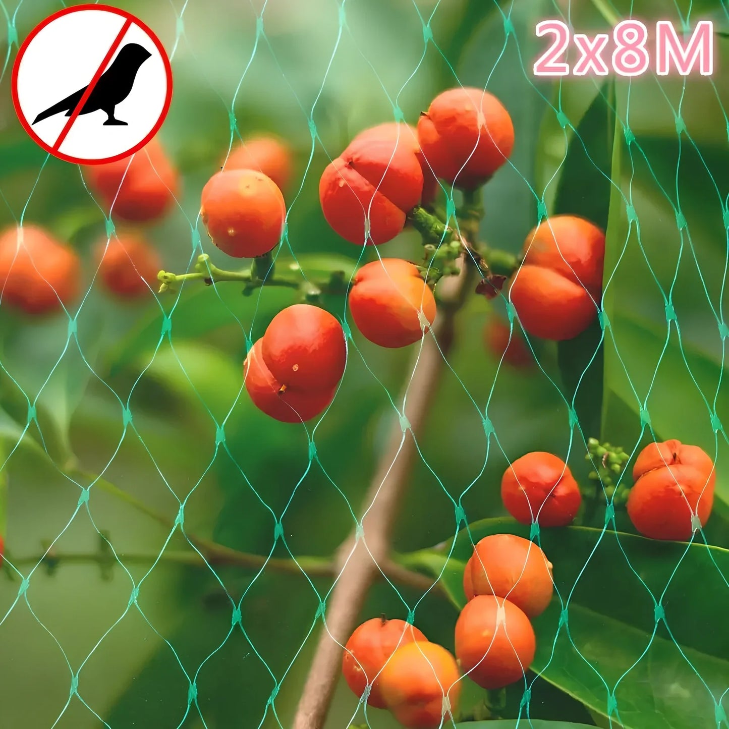 Green plastic garden bird net draped over plants showing mesh pattern and size options