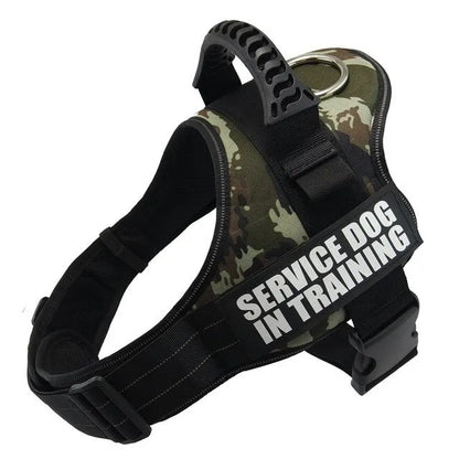 A reflective adjustable no-pull dog harness in nylon, shown on a dog, with a sturdy handle and D-ring for leash attachment.