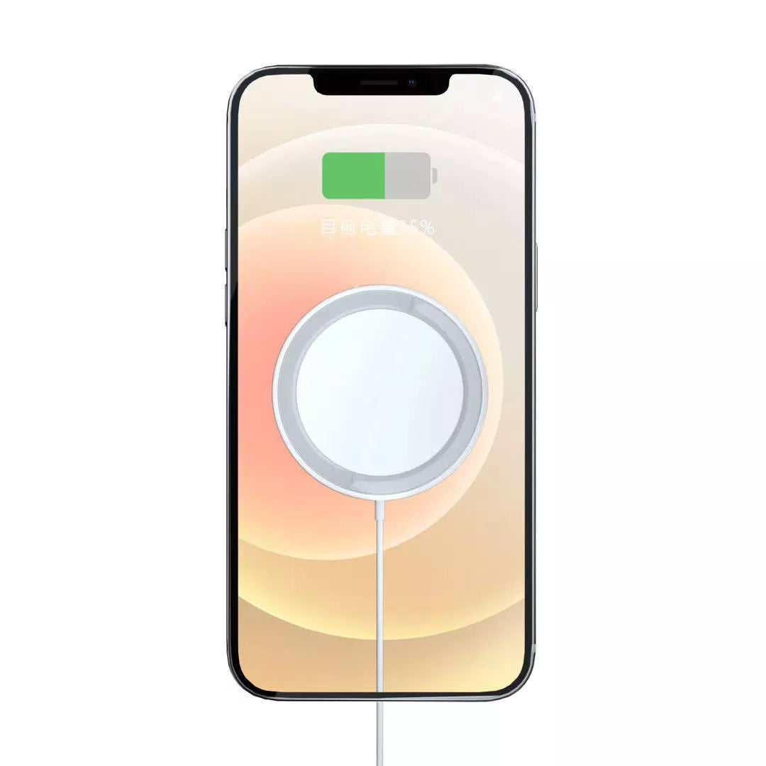 Magnet Safe Fast 15W Wireless Charger for iPhone 12 Pro Max in Silver