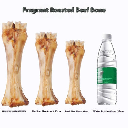 Pet molar rod dental chew for dogs in three sizes with high-calcium formulation and roasted ox bone flavour