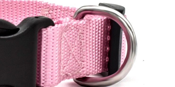 Adjustable nylon pet collar for cats and dogs with neoprene lining, available in multiple colors and sizes