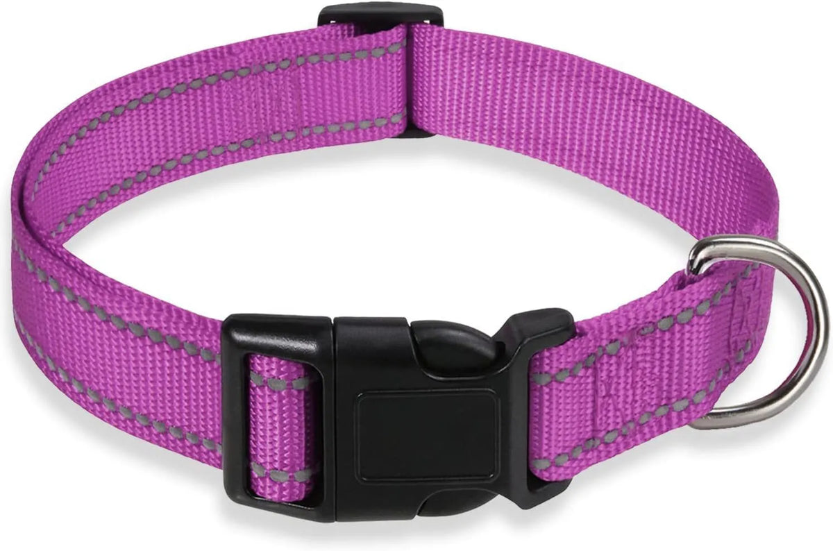 Adjustable nylon dog collar with chest strap in multiple colour options for secure walking