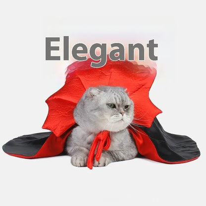 Black and red Halloween costume clothing for cats and dogs on a pet mannequin