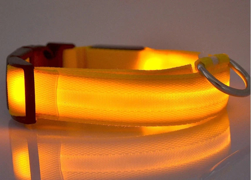 Nylon LED dog safety collar with illuminated fibre optic lights in blue colour, adjustable buckle, and waterproof construction