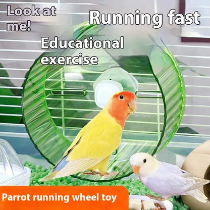 Plastic bird treadmill running wheel toy in transparent, green, grey, orange or purple colours for cage exercise