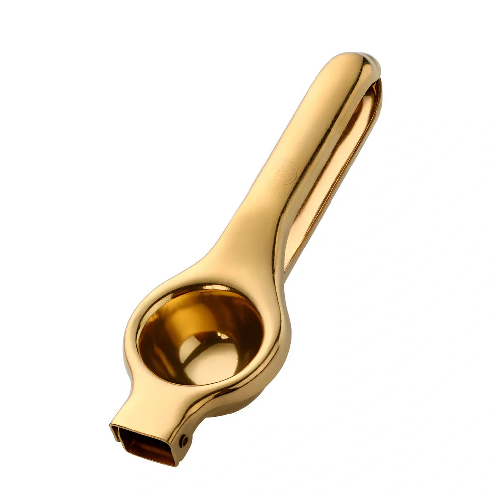 Manual stainless steel juicer with 5.5cm feed opening in gold finish on kitchen counter