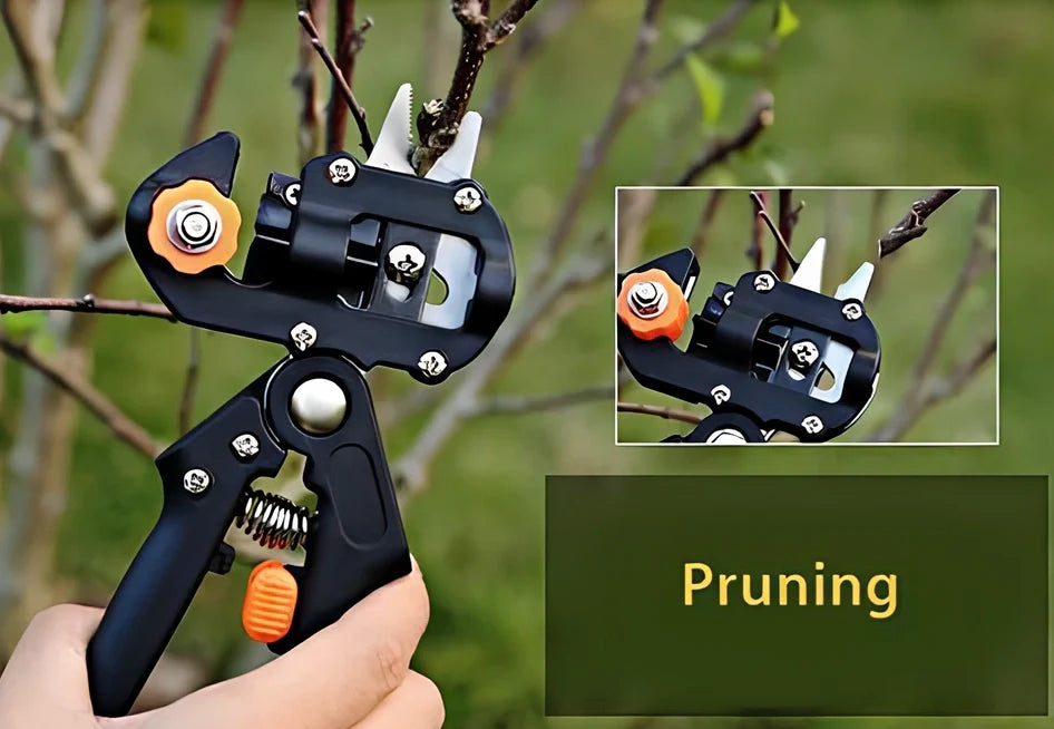 12-piece card and cloth bag collection with 2cm width, multiple styles, orange and red options