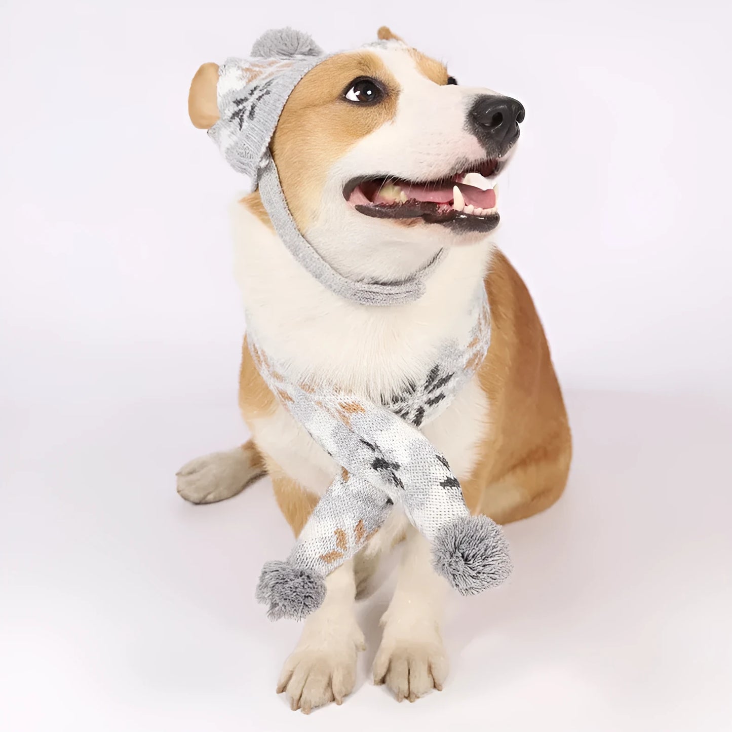 Grey Japanese-style retro jacquard pet sweater, hat and scarf set on a small dog model.
