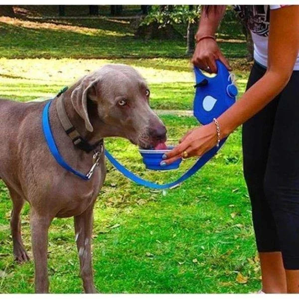 A stylish, multi-functional dog leash with a built-in water bottle, collapsible bowl, and waste bag dispenser for convenient and hands-free dog walks.