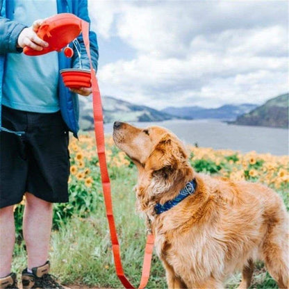 A stylish, multi-functional dog leash with a built-in water bottle, collapsible bowl, and waste bag dispenser for convenient and hands-free dog walks.
