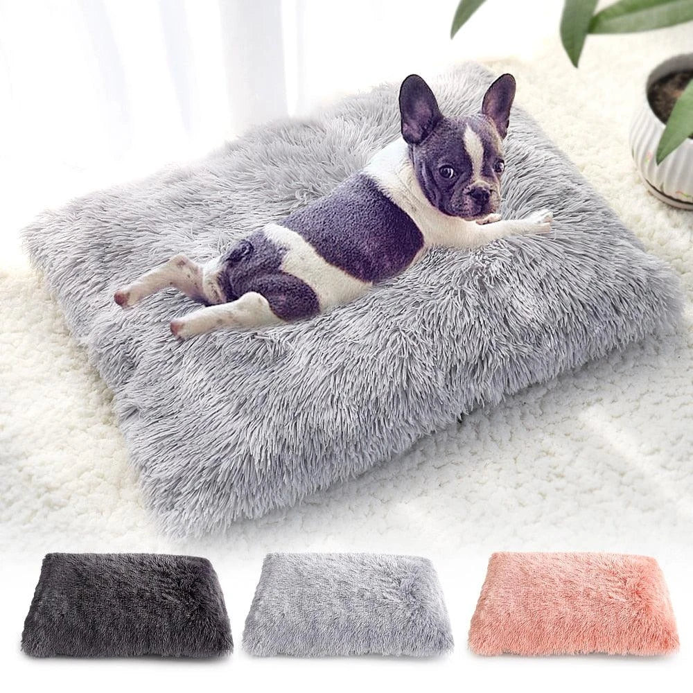 A cozy and plush pet bed in various color options, designed to provide ultimate comfort and relaxation for your furry friend.