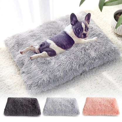 A cozy and plush pet bed in various color options, designed to provide ultimate comfort and relaxation for your furry friend.