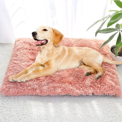 A cozy and plush pet bed in various color options, designed to provide ultimate comfort and relaxation for your furry friend.