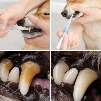 Hhomeenjoy US Dog Teeth Plaque Removing Pens