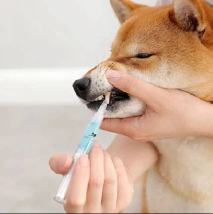 Dog Teeth Plaque Removing Pens - All-natural formula to gently clean and whiten your furry friend's teeth