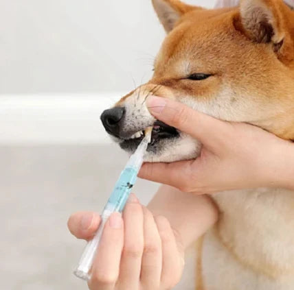 Dog Teeth Plaque Removing Pens - All-natural formula to gently clean and whiten your furry friend's teeth