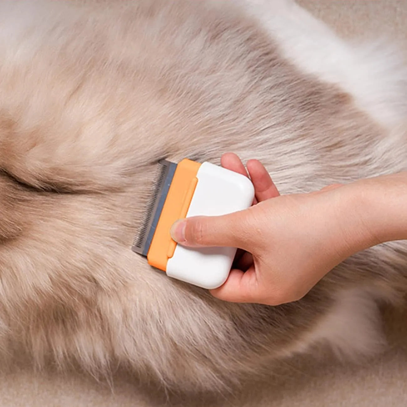 Blue double-sided pet grooming comb for cat and dog deshedding with portable design