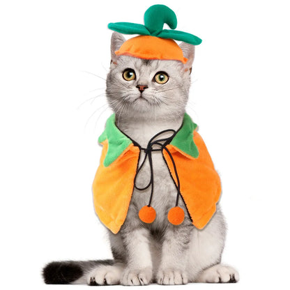 Reversible Halloween pumpkin cloak for dogs and cats in plush fabric