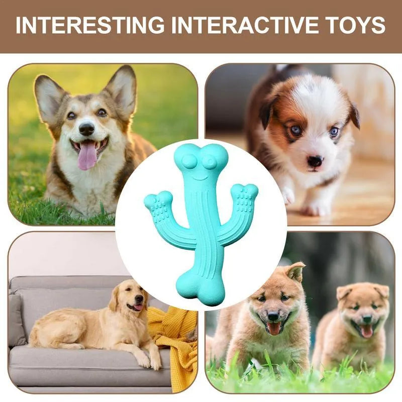 Beige cactus-shaped dog chew toy made from bamboo fibre and rubber on a white background.