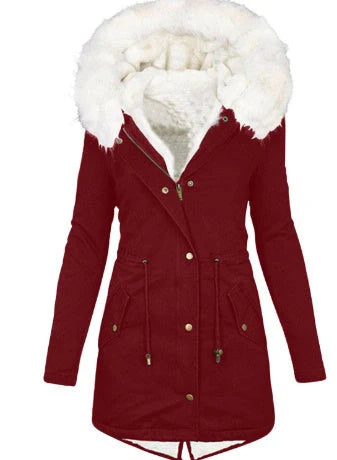 Women's cozy cotton padded jacket with a stylish white collar, available in multiple colors and sizes.