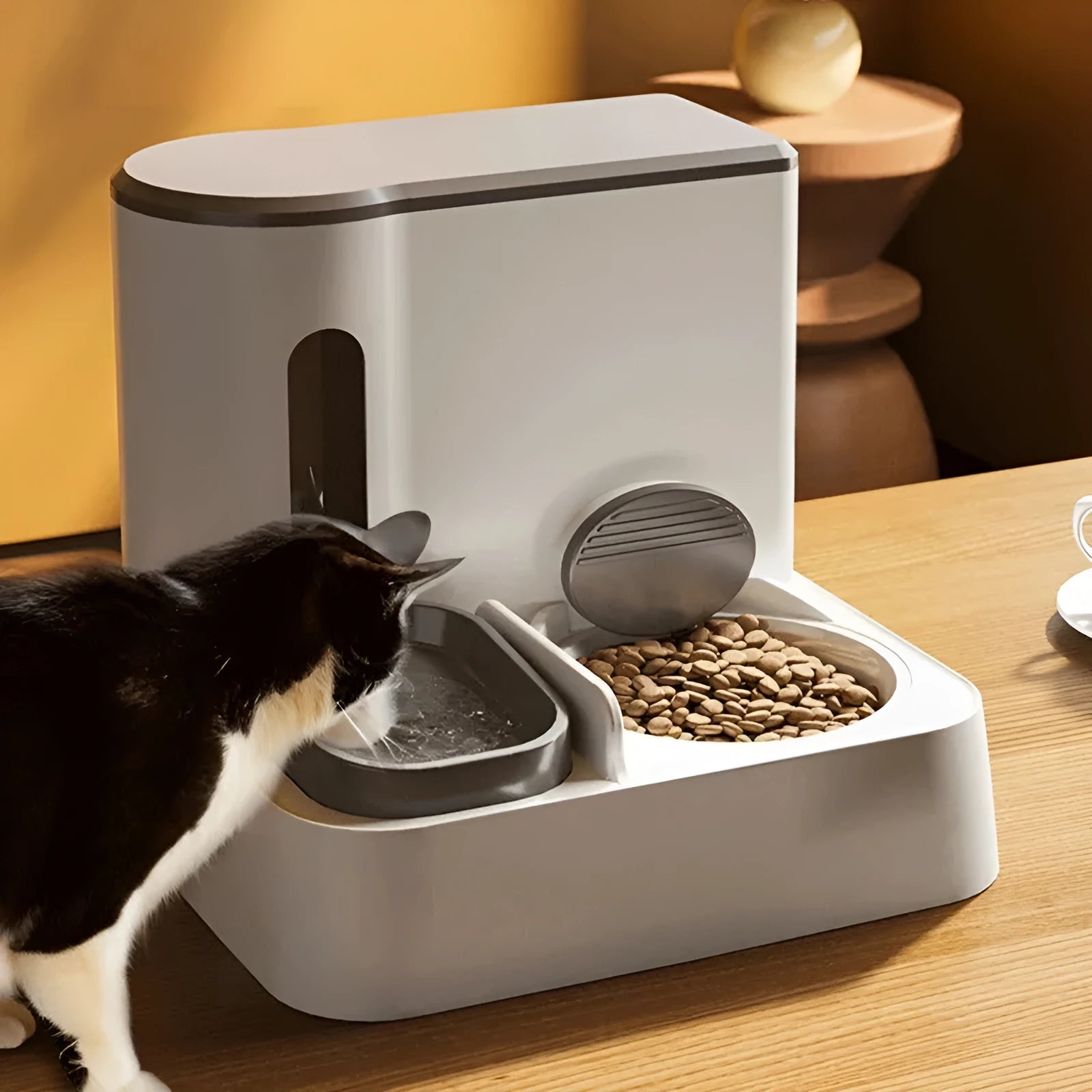 Cat automatic pet feeder water dispenser with integrated double bowl design