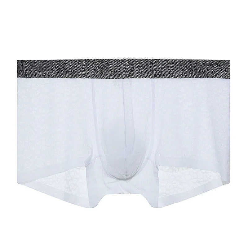 Men's seamless lace boxer briefs in low-waist design with thin transparent fabric