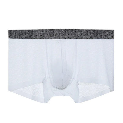 Men's seamless lace boxer briefs in low-waist design with thin transparent fabric