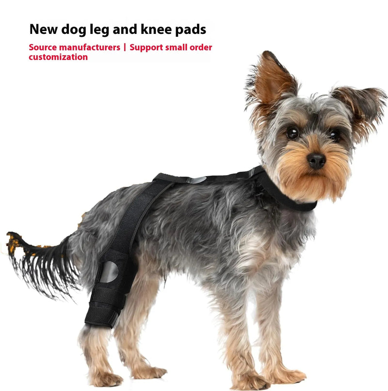 Dog hind leg knee brace assist strap in supportive neoprene material with adjustable strap closure in XS, S, M, and L sizes to aid mobility and knee support for dogs of all breeds