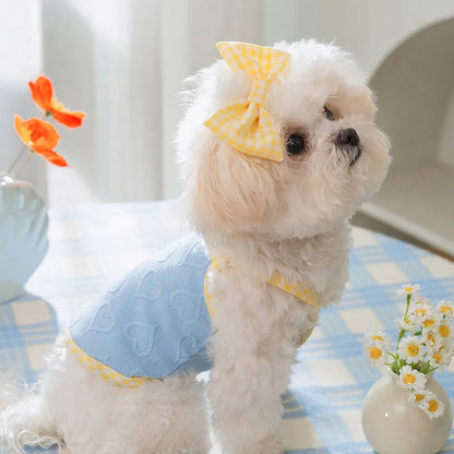 Small dog wearing blue elastic vest with suspenders and bow detail, showing stretch fit