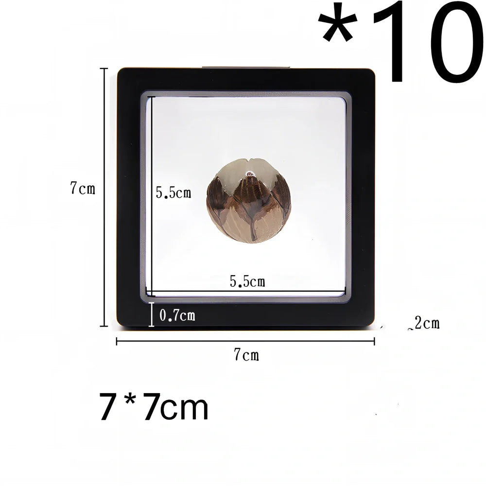 Black 11x11cm suspended 3D floating display frame holder with square base for coins and gems