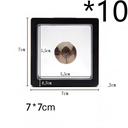 Black 11x11cm suspended 3D floating display frame holder with square base for coins and gems