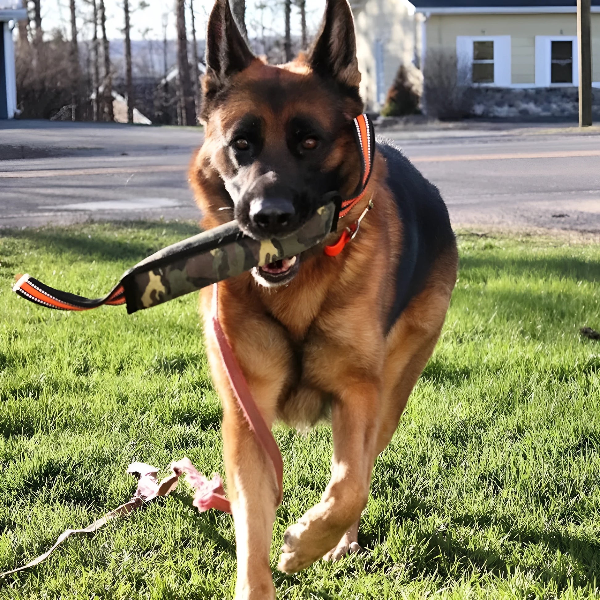 Yellow-trimmed reflective jute dog bite stick for training measuring 55cm