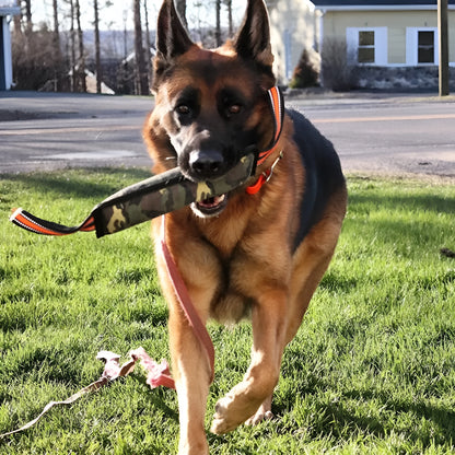 Yellow-trimmed reflective jute dog bite stick for training measuring 55cm