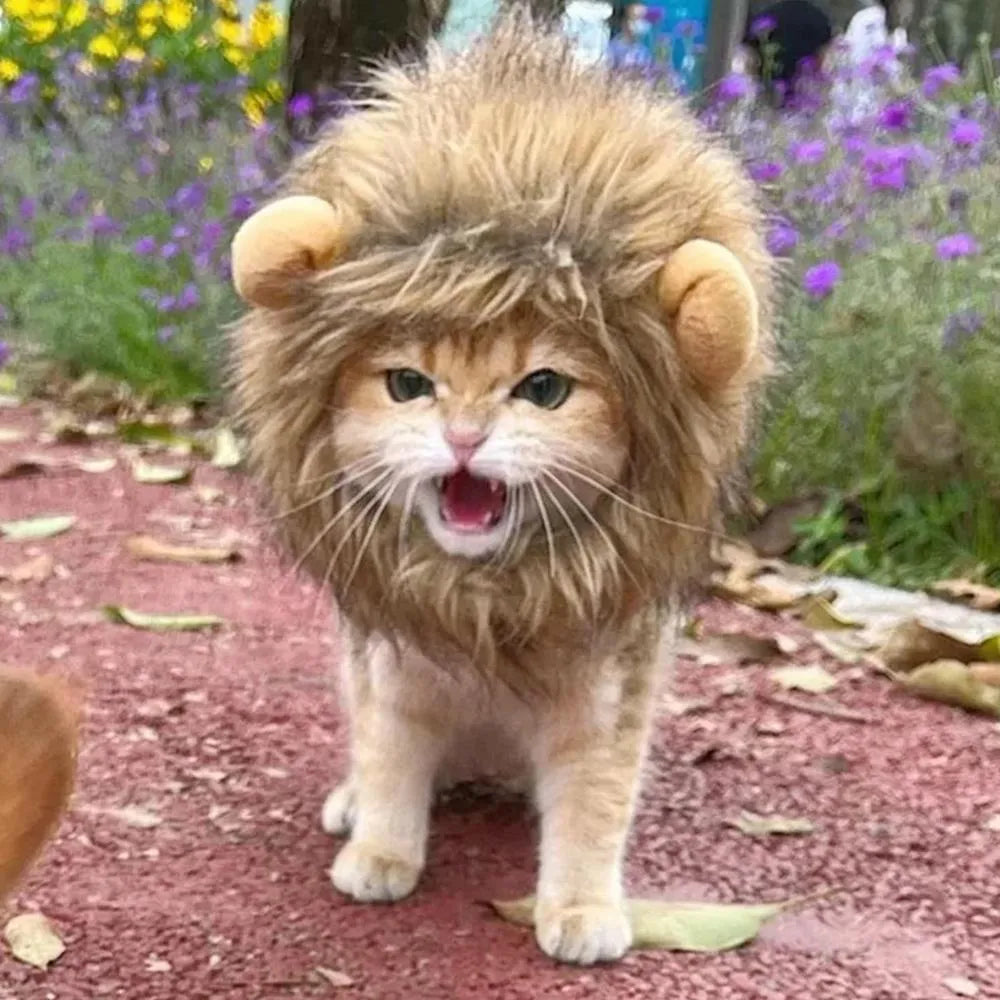 Lion mane costume wig for a cat or small dog on a white background, showing fluffy artificial hair and adjustable straps.