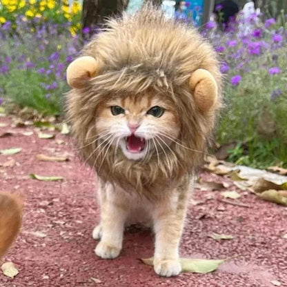 Lion mane costume wig for a cat or small dog on a white background, showing fluffy artificial hair and adjustable straps.