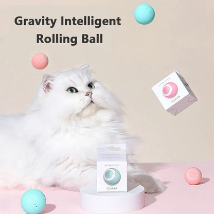 Interactive Automatic Cat Toy with Rotating Ball and Obstacle Avoidance Technology