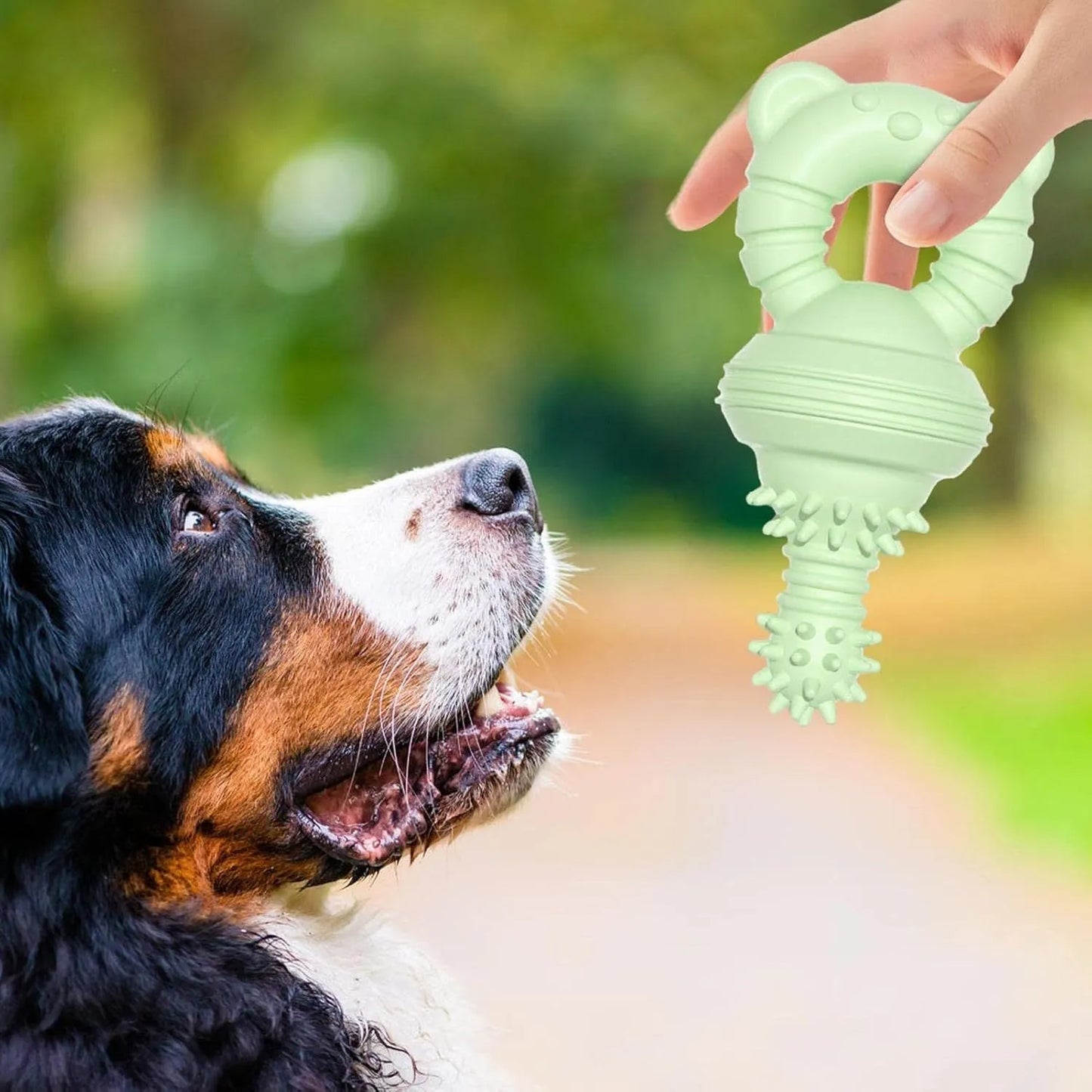 Blue molar clean teeth rubber dog chew toy with concave-convex design and bell, 13.5cm size