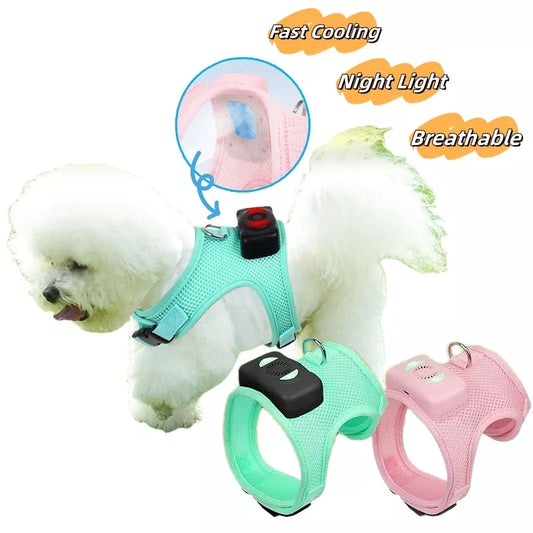 Small dog wearing mint green cooling vest harness with air conditioner