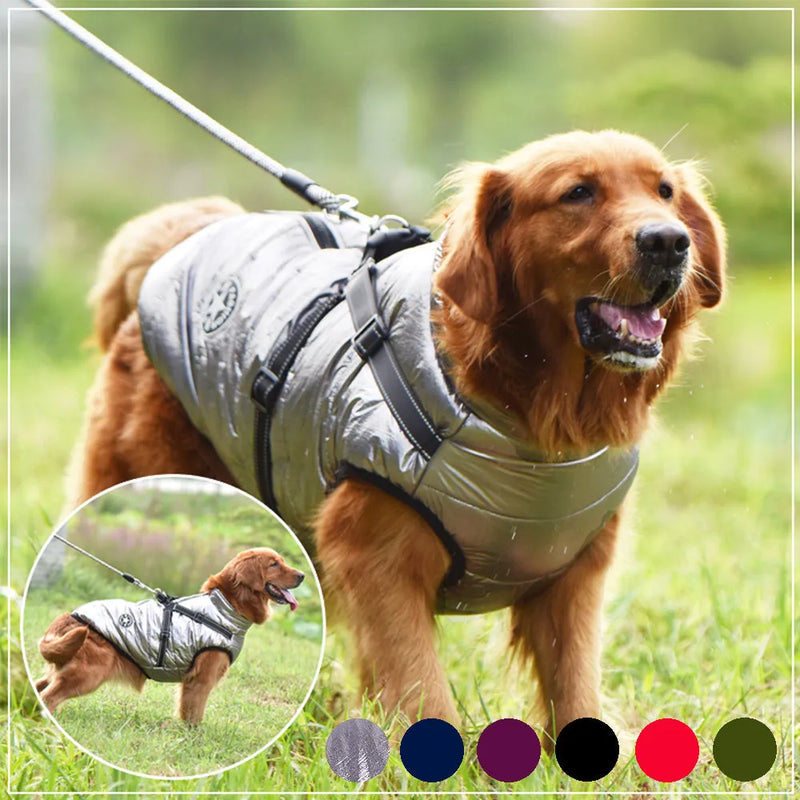 Waterproof dog coat with integrated harness for large and small breeds including Labrador, Chihuahua, and XL dogs, made from rain silk fabric available in red, navy blue, and army green colour options.