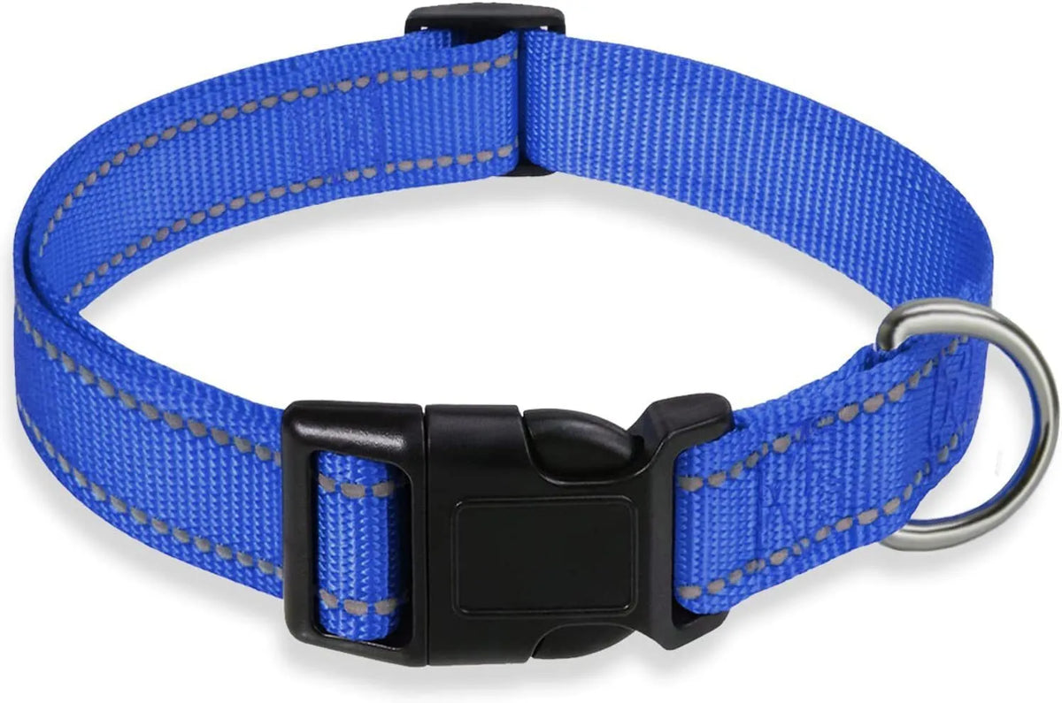 Adjustable nylon dog collar with chest strap in multiple colour options for secure walking