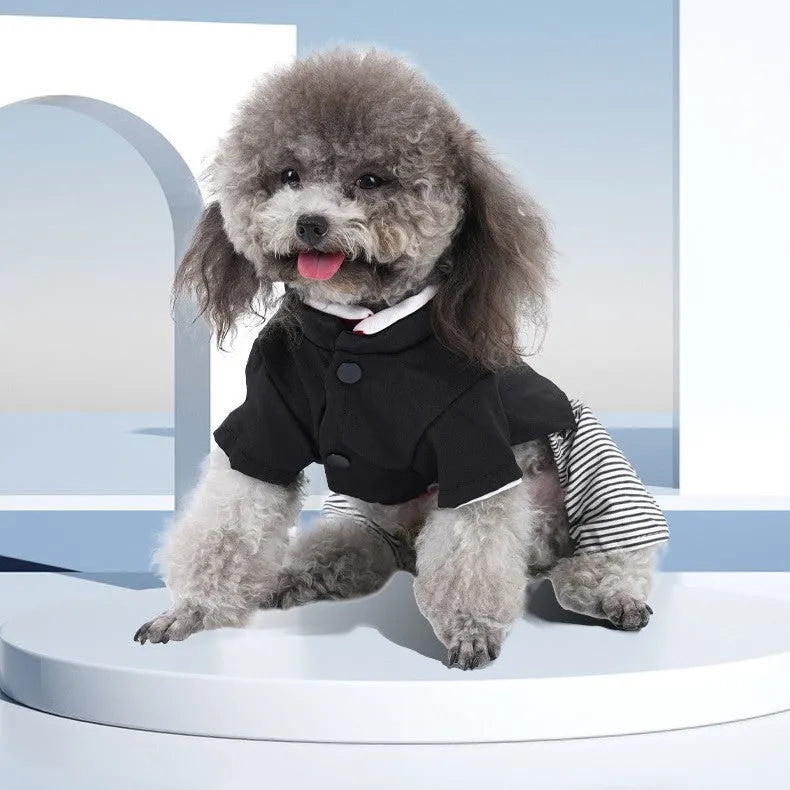 Thin cotton poodle dog clothes in skirt and four-foot pants styles for spring and autumn wear.