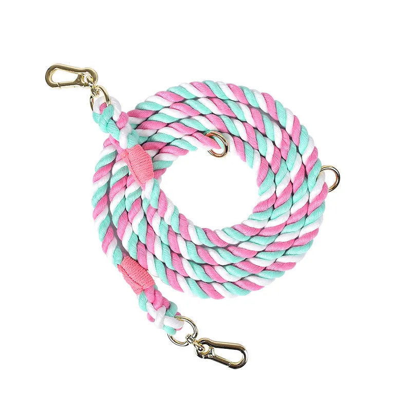 Woven rainbow pattern dog leash with double grip handles and a metal clasp.