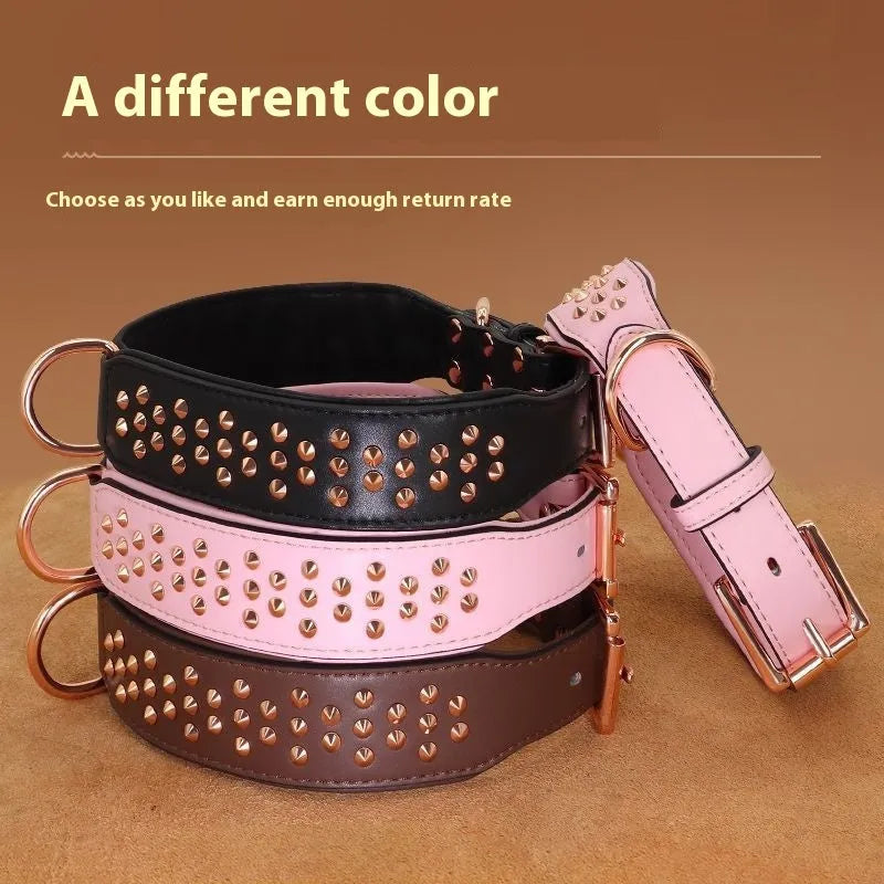 Leather dog collar with metal rivets in chocolate colour, showing rivet spacing and buckle detail