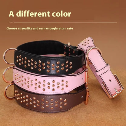 Leather dog collar with metal rivets in chocolate colour, showing rivet spacing and buckle detail