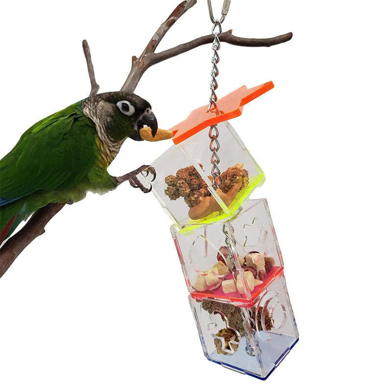 Clear acrylic bird foraging toy for parrots, 32cm tall food container.