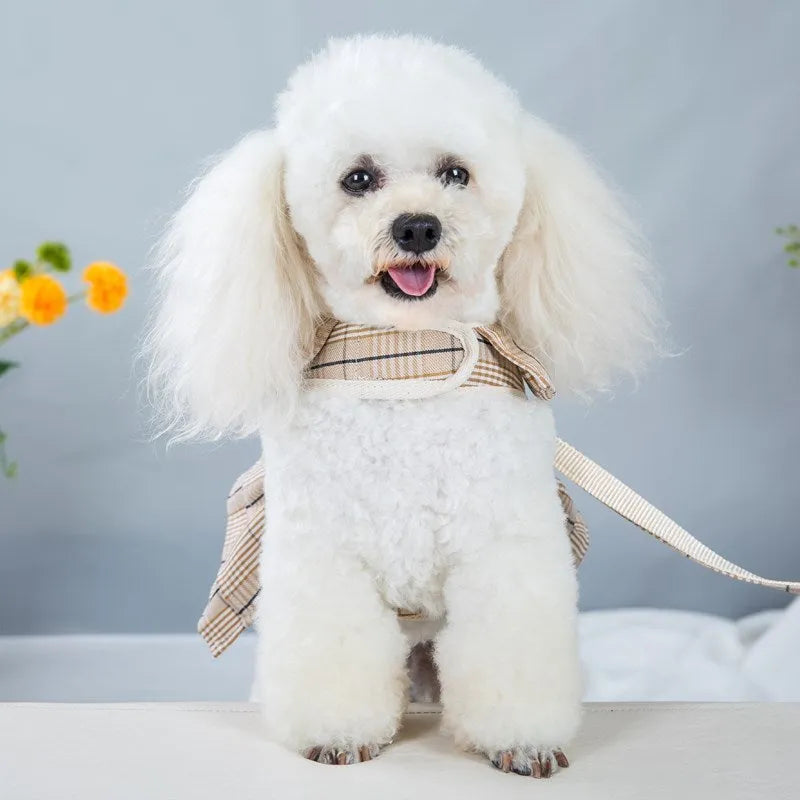 Dog wearing chest strap vest harness with attached leash in milky white or purple colour